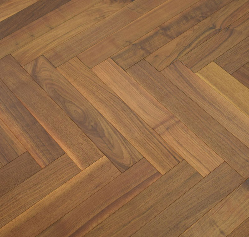 American Walnut 