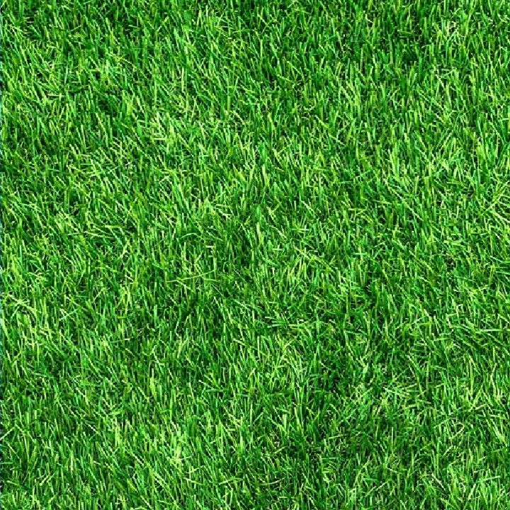 25 mm Artificial Grass 