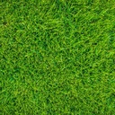 35 mm Artificial Grass