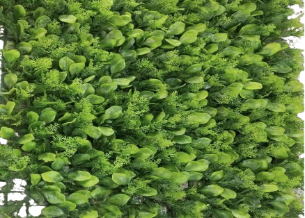 Vertical Garden FYN8016E