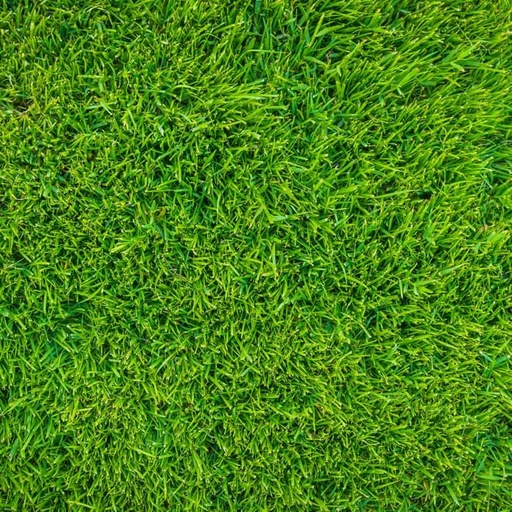 35 mm Artificial Grass